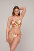 PrimaDonna Tanzania Bikini Briefs Brazilian